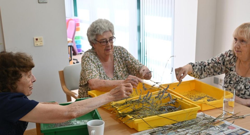 The Shakespeare Hospice - Lunch with Friends