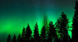 The Shakespeare Hospice - Northern Lights Trek