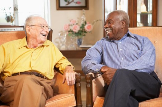 The Shakespeare Hospice - Companion At Home